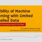 Stability of Machine Leargning with Limited Labelled Data
