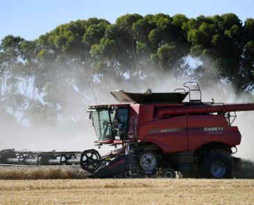 Ustawa rolna w Australii nie zakazuje mieszkańcom „uprawy własnej żywności” - Featured image