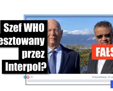 Nie, szef WHO nie został aresztowany przez Interpol - Featured image