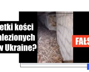 Nagranie pokazuje ludzkie szczątki w paryskich katakumbach, a nie tunele w Ukrainie - Featured image
