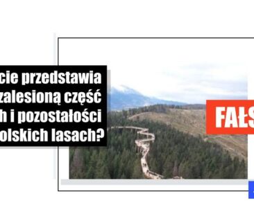 Ten most jest na Słowacji, a nie przy granicy z Polską w Czechach - Featured image