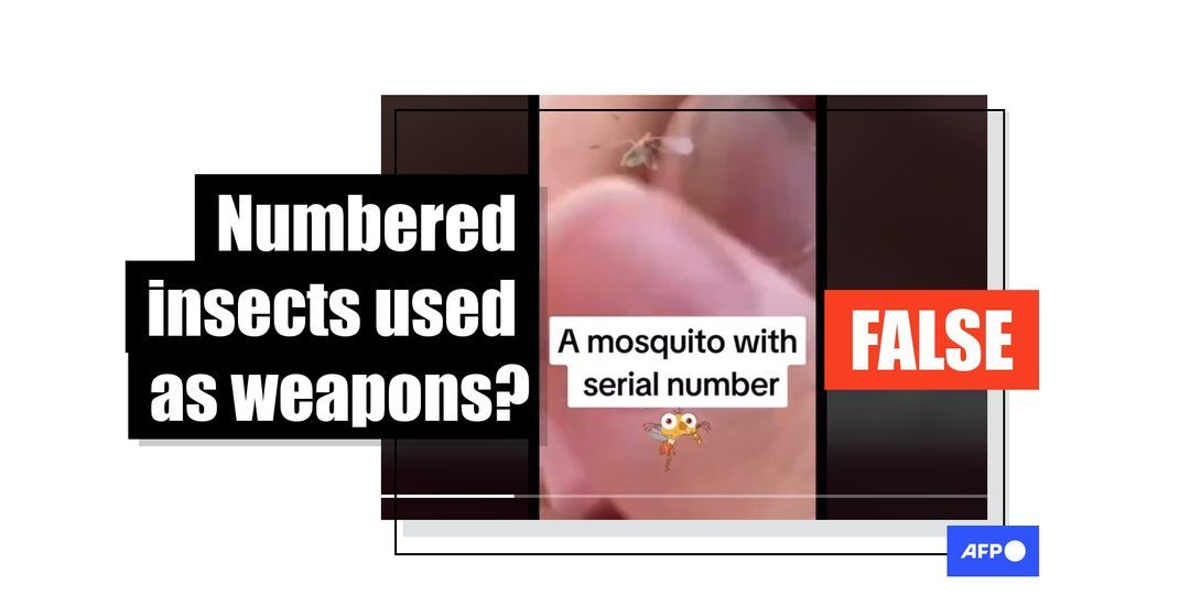 Video does not show genetically modified mosquito with serial number - Featured image
