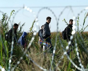 Migrants_in_Hungary_2015_Aug_015