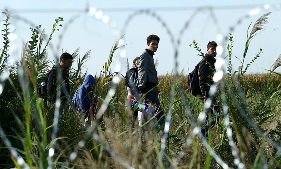 Migrants_in_Hungary_2015_Aug_015