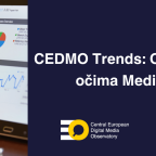 CEDMO Trends 8. vlna