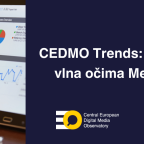 CEDMO Trends 13. vlna