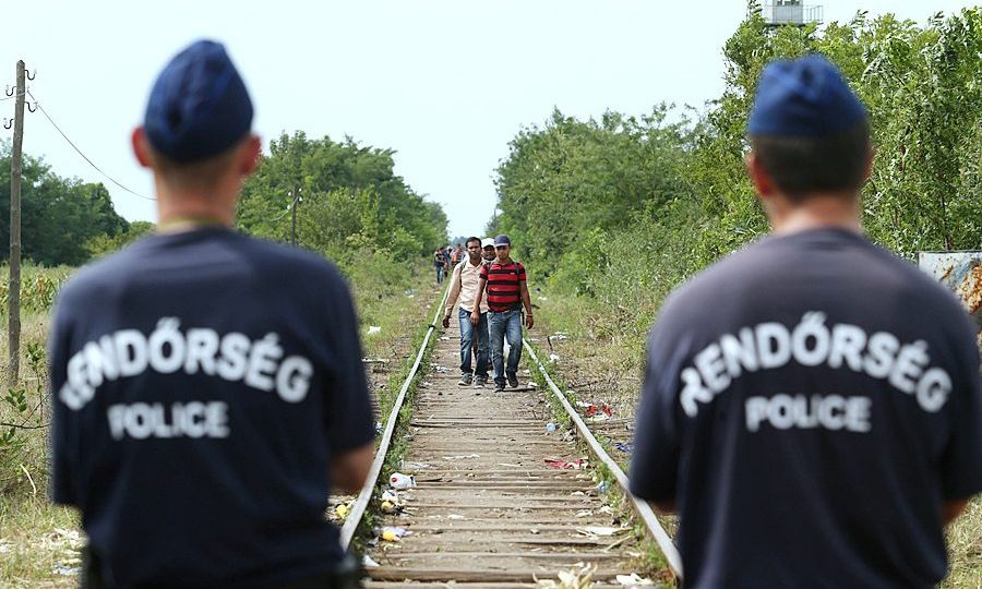 Migrants_in_Hungary_2015_Aug_009
