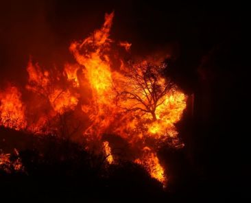 Unfounded conspiracies swirl on energy weapon use amid Los Angeles fires - Featured image