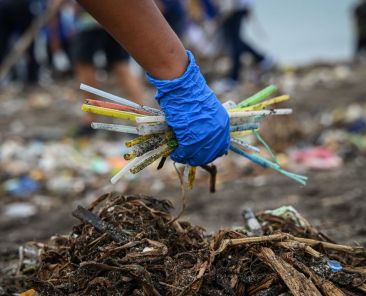 Trump misrepresents plastic impact on sharks in reversing course on straws - Featured image