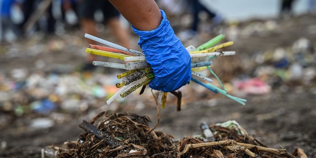 Trump misrepresents plastic impact on sharks in reversing course on straws - Featured image